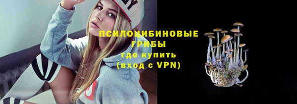 сатива Ступино